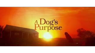 A Dog's Purpose Trailer NL