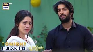 Pyar Deewangi Hai Episode 18 | Presented By Surf Excel | Tonight at 8:00 PM | ARY Digital