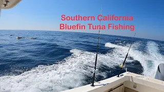 Bluefin Tuna Fishing Southern California