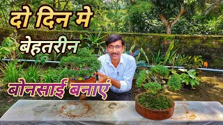 दो दिनों मे बेहतरीन बोनसाई कैसे बनाएं ? Make Bonsai in Two days only