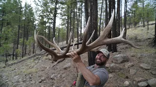 FOUND ANOTHER KEEPER SET OF ELK SHEDS! 🔥