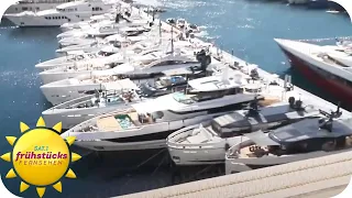 Monaco Yacht Wahnsinn! - die Superyacht eins Superreichen | SAT.1 Frühstücksfernsehen