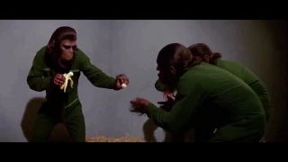 Conquest of the Planet of the Apes (1972) Caesar shares