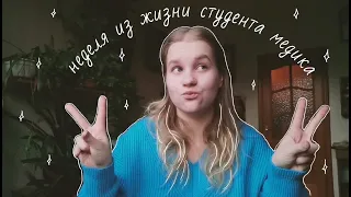 Неделя из жизни студента медика✨