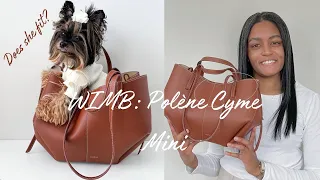 Polène Cyme Mini: What Fits | What’s In My Bag | Polène Handbag | Pack My Bag With Me | Céline + Me