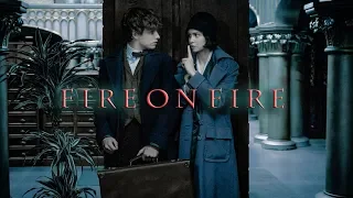 Newt & Tina | fire on fire