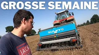 Grosse Semaine 🥵 Semis Ray Grass 🌱