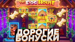 ПОКУПАЮ ДОРОГИЕ БОНУСКИ В THE DOG HOUSE MEGAWAYS ( ПОЙМАЛ ЗАНОС? )