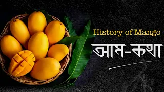 আম কথা - আমের ইতিহাস । History of Mango 🥭 #mango #history #food #bangla