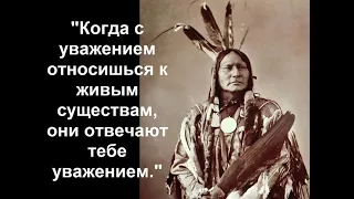 Поговорки индейцев, которые перевернут ваш мир. Индейская мудрость в цитатах.