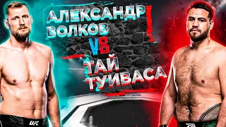 UFC 293: Александр Волков VS Тай Туиваса прогноз | аналитика мма | MMA REVIEW