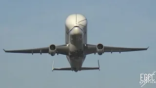 Airbus A330-700 BelugaXL 2x Fly Past and Landing at Hawarden Airport