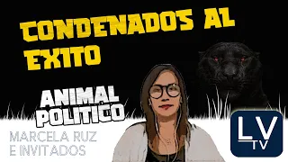 Condenados al éxito - Animal Politico