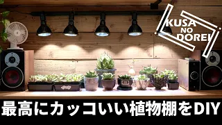 『KUSA NO DOREI』杉板古材の壁にLEDを取り付け植物用ラックをDIY　アガベ、塊根植物【Vol.1】