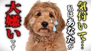 犬が嫌いな人にだけ見せる行動15選