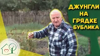 Бублик Б.А. Джунгли на грядке / Что сеет 🌱и садит  🍅 Борис Андреевич/ Огород без хлопот