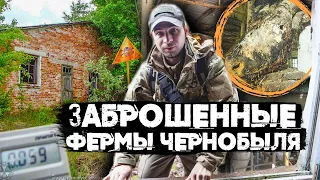 ТАЙНЫ ЗАБРОШЕННЫХ ФЕРМ ЧЕРНОБЫЛЬ! Что сделали с животными?