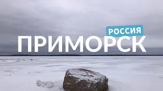 Приморск, Россия / Primorsk, Russia (02.2023)