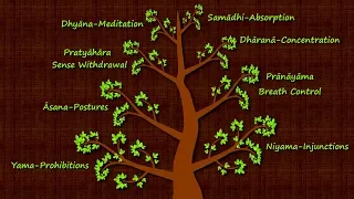 The Eight Limbs of Yogic Meditation - Patanjali's Yoga Sutras