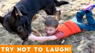 Try Not To Laugh Funniest Animal Compilation November 2018 | Funny Pet Videos