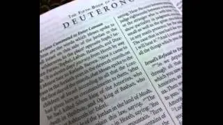 Deuteronomy 5 - New International Version (NIV) Dramatized Audio Bible