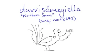 Minority Language Report - Northern Sami