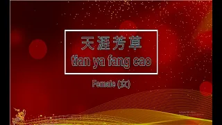 天涯芳草 (Tian Ya Fang Cao) Female - Karaoke Mandarin