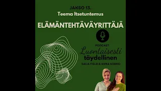 Jakso 13 Yhteistyö Elämäntehtäväyrittäjyys