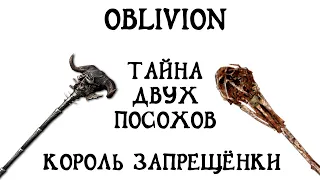 Oblivion 33 НедоПолуЛегальныйСцукоЧит Король запрещёнки Тайна двух посохов Гайд