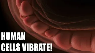 Human Cells Vibrate Resonant Frequency! And it's audible!