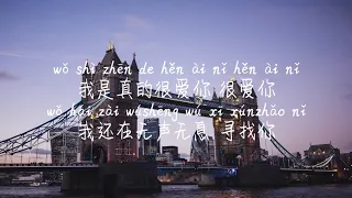 【选择性回避-傲七爷】XUAN ZE XING HUI BI-AO QI YE /TIKTOK,抖音,틱톡/Pinyin Lyrics, 拼音歌词, 병음가사/No AD, 无广告, 광고없음