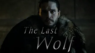 (GoT) Jon Snow || The Last Wolf