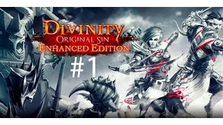 Divinity Original Sin Enhanced Edition → Новая история