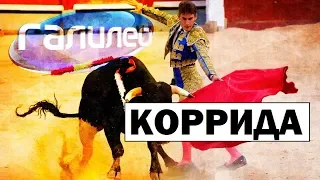 Галилео | Коррида 🐂 Corrida