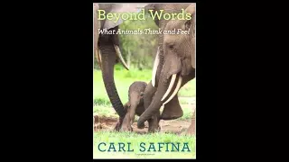 "Book Talk" Guest Carl Safina Author "Beyond Words: What Animals Think and Feel"