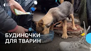 Для безпритульних тварин у Луцьку встановлюють будиночки із пластикових пляшок