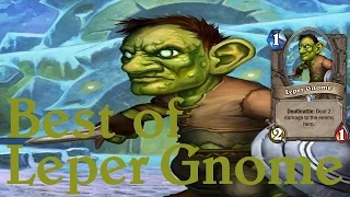 Hearthstone - Best of Leper Gnome