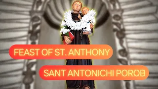 Feast of St. Anthony - 13th June 2023 6:00 PM - Fr. Xavier Braganza