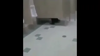 Bro fighting for his life in toilet