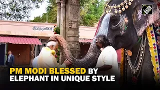 Elephant at Sri Ranganathaswamy Temple in Tamil Nadu blessed PM Modi, played mouth organ