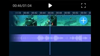 Tiger Shark Audible Sounds Recorded with GoPro