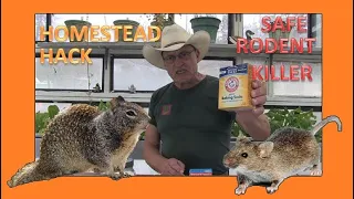 HOMESTEAD HACKS - SAFE RODENT KILLER