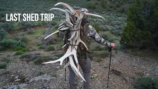 Last Shed Trip: Elk and Deer Sheds