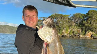 Mad day fishing at the Hawkesbury(14-15kg jewfish)