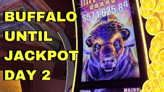 CHASING THE JACKPOT | Buffalo until Jackpot DAY 2