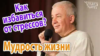 Александр Хакимов. Мудрость жизни. Как избавиться от стрессов