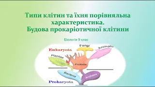 Біологія 9 клас. Типи клітин. Прокаріоти та Еукаріоти.  Будова прокаріотичної клітини