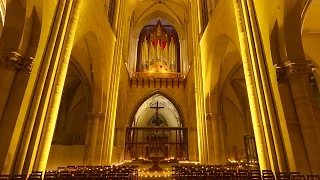 Magdeburg Cathedral: Mayday! 2015 - Woody - Risen From Ruins (National anthem of the former GDR)