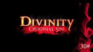 Divinity: Original Sin -  Дракон пустоты (ФИНАЛ) 30# (КооП)