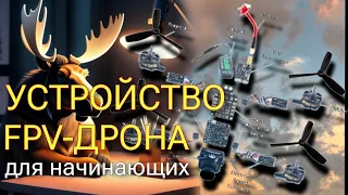 Устройство FPV-дрона для начинающих